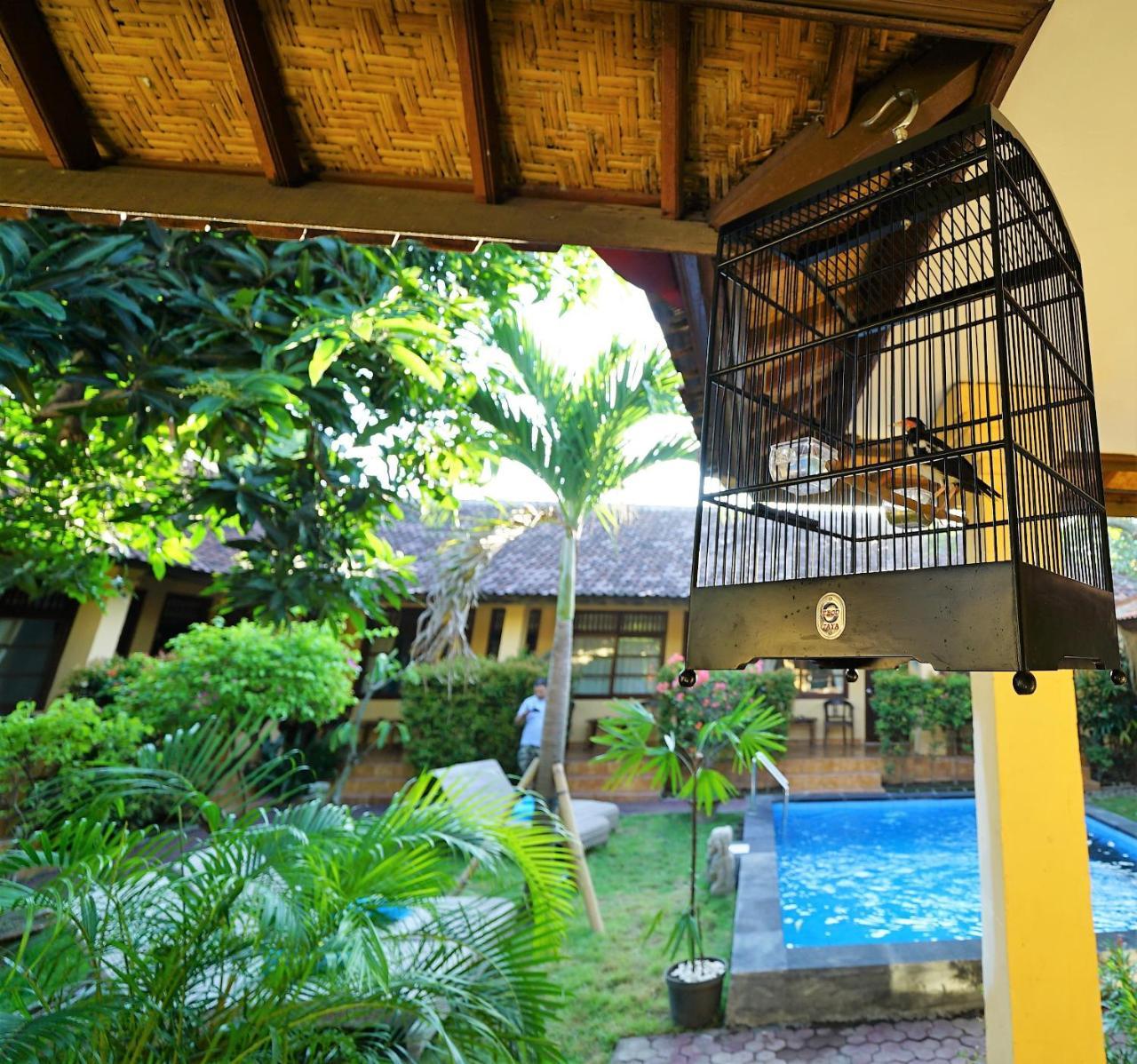 Mangga Bungalow Sanur Dış mekan fotoğraf